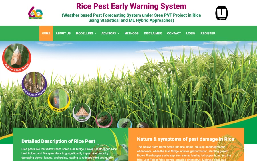 Rice Pest Early Warning System — ML forecasting platform developed by Madhusudhan